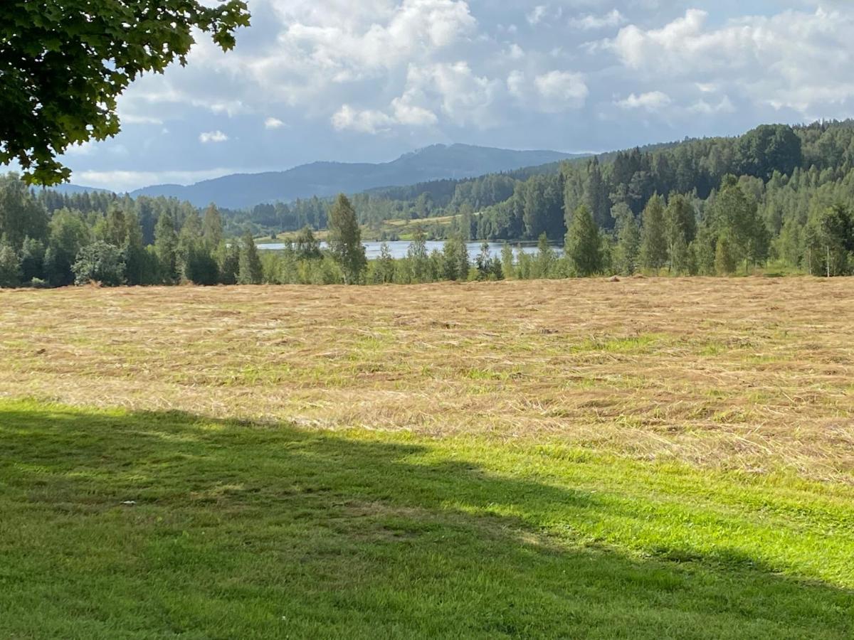Ferienwohnung Backen Torsby Exterior foto